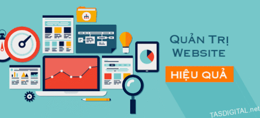 Dịch vụ quản trị và chăm sóc website TASDIGITAL