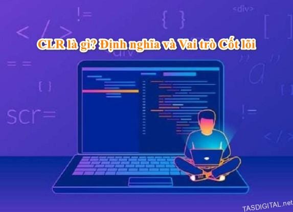 CLR là gì? Giải thích Chi tiết về Common Language Runtime trong .NET