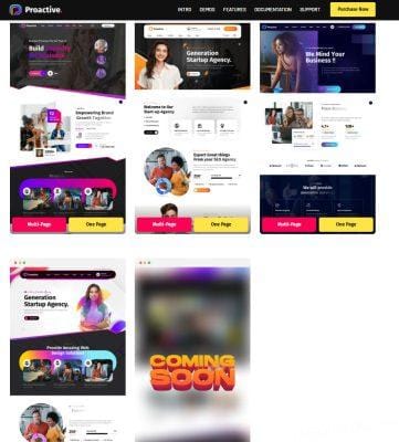 Giới thiệu theme Proactive - Web Design Agency WordPress Theme