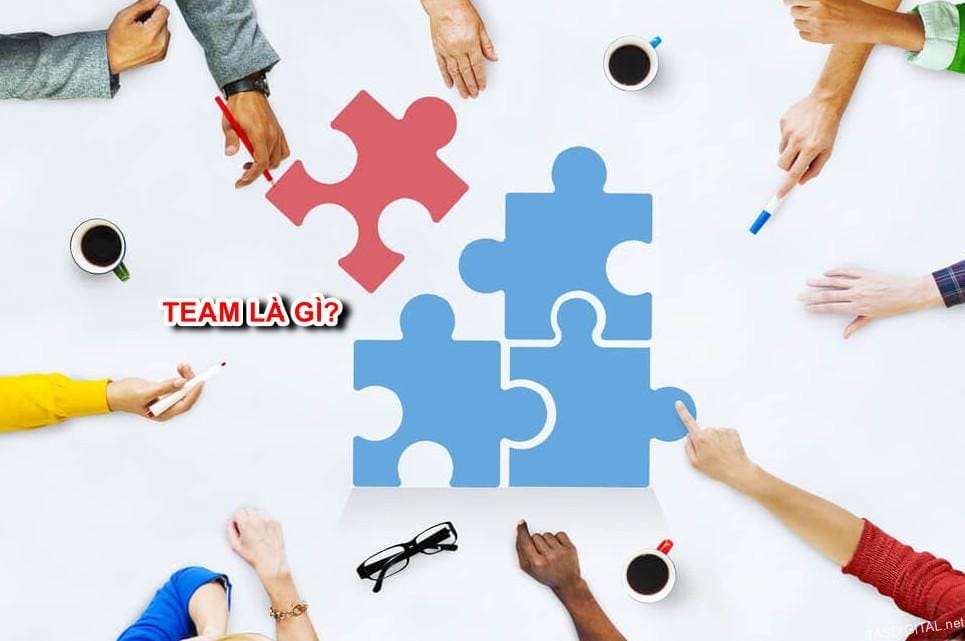 Team là gì? Giải mã sức mạnh của Teamwork và bí quyết xây dựng đội nhóm vô địch